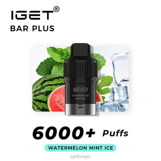 IGET Bar Store bar plus pod 6000 trekjes 806F269 watermeloen munt ijs